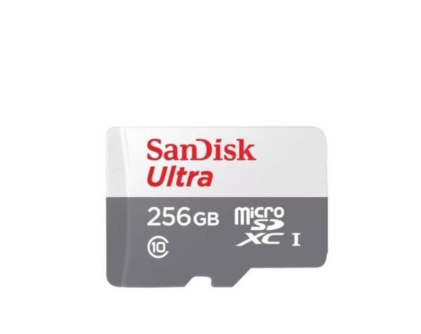 بطاقة ذاكرة 256